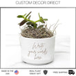Load image into Gallery viewer, Personalized Desk Plant, Mini Succulent Gift, Custom Desk Plant, Live Succulent, Mini Planter, Custom Text, your words here Plant, Pot, Gift