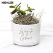Load image into Gallery viewer, Personalized Desk Plant, Mini Succulent Gift, Custom Desk Plant, Live Succulent, Mini Planter, Custom Text, your words here Plant, Pot, Gift