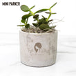 Load image into Gallery viewer, Custom Desk Plant, Logo Desk Plant Succulent, Live Succulent, Business Logo Mini Plant, Personalized Desk PLant, Your Logo Here, Front Desk