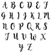 Load image into Gallery viewer, Last name Established Sign, Last name Sign Metal, Personalized, Last name Monogram