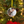Custom Photo Christmas Ornament