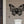 Load image into Gallery viewer, Butterfly Address Metal Sign
