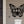 Load image into Gallery viewer, Butterfly Wall Art Metal Sign

