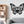 Load image into Gallery viewer, Butterfly Address Metal Sign
