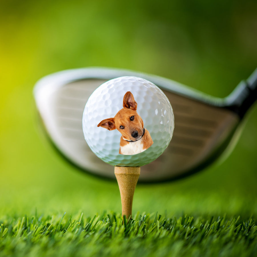 Custom Pet Picture Golf Ball, Personalized Picture Golf Ball, Pet Lover Gift, Cat Dog Pet Golf Ball, Your Picture Golf Balls, Golfer Gift