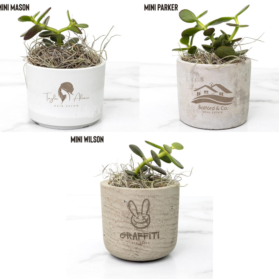 Custom Desk Plant, Logo Desk Plant Succulent, Live Succulent, Business Logo Mini Plant, Personalized Desk PLant, Your Logo Here, Front Desk