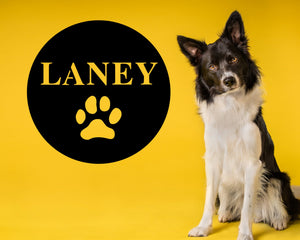 Custom Dog Name Sign with Paw Print, Dog Sign, Personalized Dog Sign, Pet Name Sign, Metal Sign, Paw Print Decor, Dog Decor, Wall Hanging